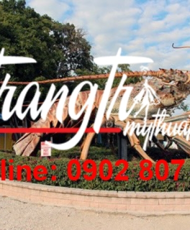 Mô hình tôm khổng lồ