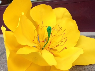 Làm Hoa Mai Mút Xốp: Kỹ Thuật Tạo Cánh Hoa Mềm Mại Trang Trí Tiểu Cảnh