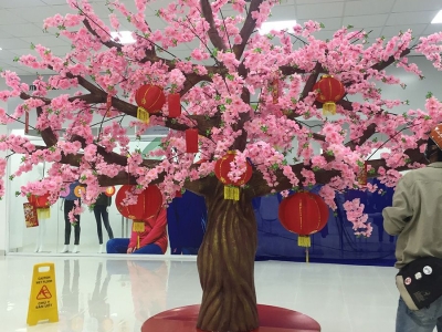 Decor Tết Bằng Mút Xốp: Giải Pháp Sáng Tạo Cho Không Gian Văn Phòng Và Quán Cafe