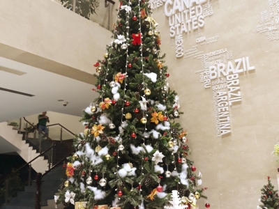 Mô hình mút xốp 3D trang trí trong nhiều không gian