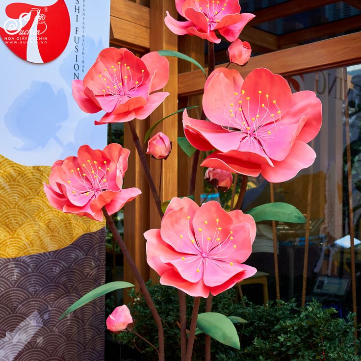 mo-hinh-mut-xop-hoa-mai-hoa-dao